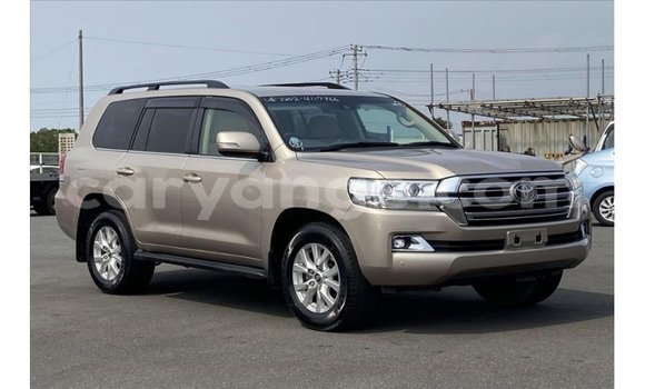 Buy Import Toyota Land Cruiser Other Car in Import - Dubai in Namibia