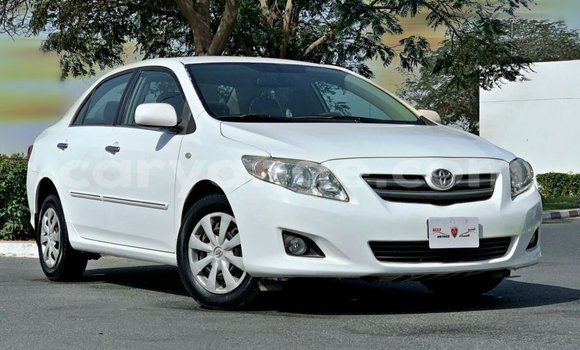 Buy Import Toyota Corolla White Car in Import - Dubai in Namibia