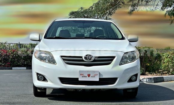Buy Import Toyota Corolla White Car in Import - Dubai in Namibia Buy Import Toyota Corolla White Car in Import - Dubai in Namibia