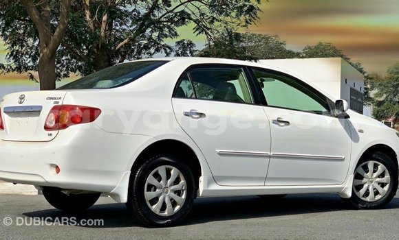 Buy Import Toyota Corolla White Car in Import - Dubai in Namibia Buy Import Toyota Corolla White Car in Import - Dubai in Namibia