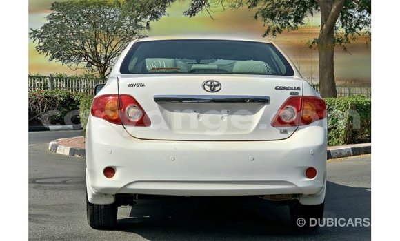 Buy Import Toyota Corolla White Car in Import - Dubai in Namibia Buy Import Toyota Corolla White Car in Import - Dubai in Namibia
