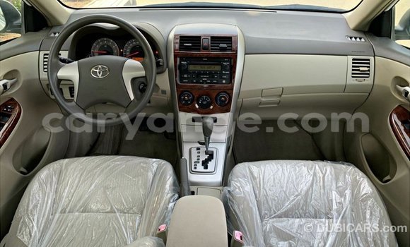 Buy Import Toyota Corolla White Car in Import - Dubai in Namibia Buy Import Toyota Corolla White Car in Import - Dubai in Namibia