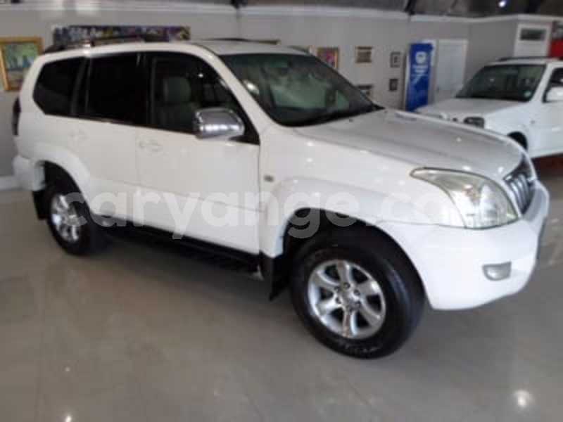 Big with watermark 2351026