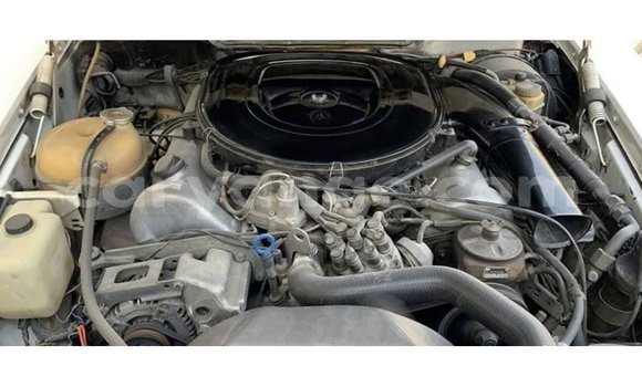 Acheter Import Voiture Mercedes-Benz 190 Blanc à Import - Dubai, Namibie Acheter Import Voiture Mercedes-Benz 190 Blanc à Import - Dubai, Namibie