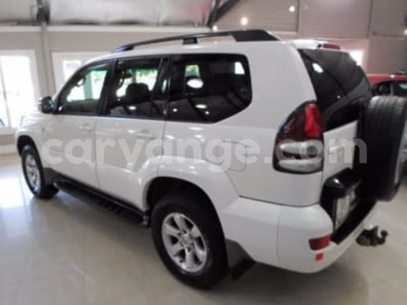 Big with watermark 2351026 3