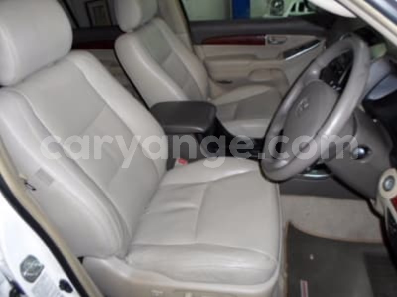 Big with watermark 2351026 5