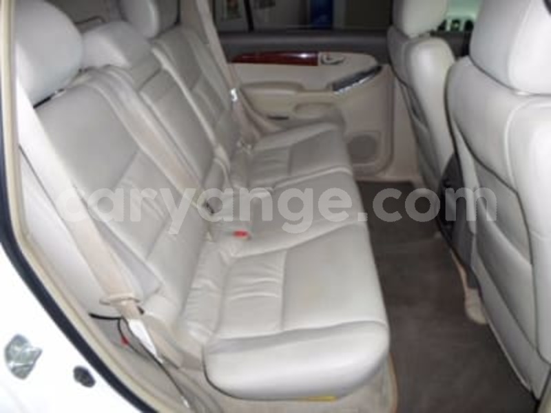 Big with watermark 2351026 8