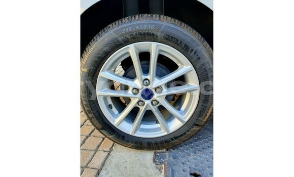Buy Import Ford Focus White Car in Import - Dubai in Namibia Buy Import Ford Focus White Car in Import - Dubai in Namibia