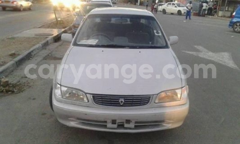 Big with watermark 24959109 1372679829509431 2290911251372580814 o