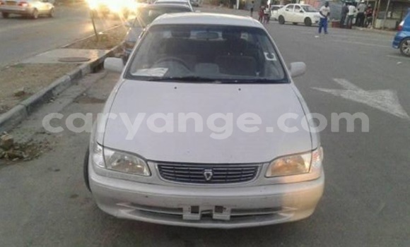 Buy Used Toyota Corolla Silver Car in Windhoek in Namibia Buy Used Toyota Corolla Silver Car in Windhoek in Namibia