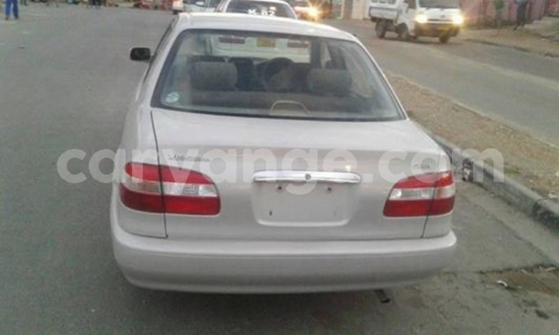 Big with watermark 25075045 1436706473124388 2663118157098388861 o