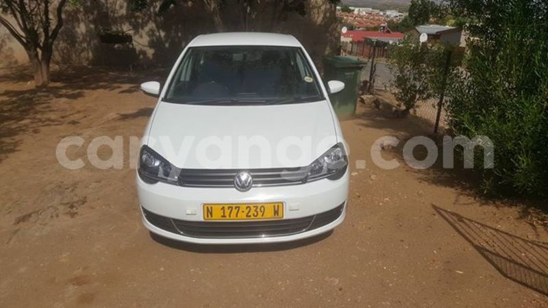 Big with watermark 25075045 1436706473124388 2663118157098388861 o