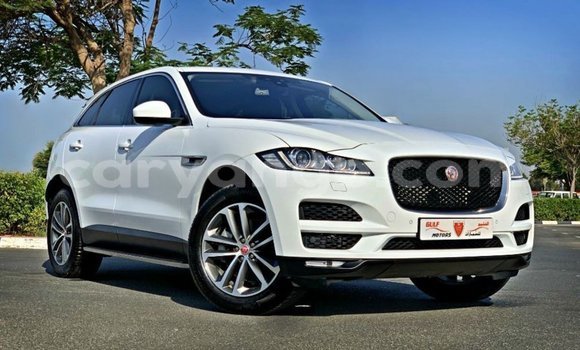 Buy Import Jaguar F-Pace White Car in Import - Dubai in Namibia