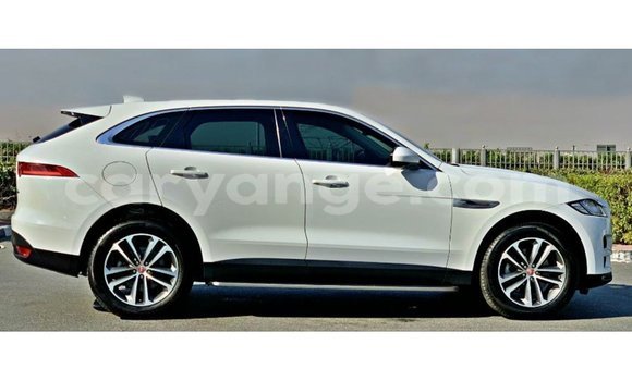 Acheter Import Voiture Jaguar F-Pace Blanc à Import - Dubai, Namibie Acheter Import Voiture Jaguar F-Pace Blanc à Import - Dubai, Namibie