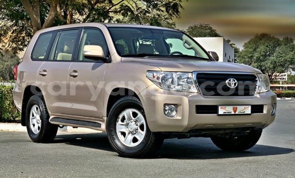 Buy Import Toyota Land Cruiser Other Car in Import - Dubai in Namibia
