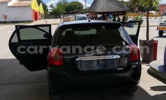 Buy Used Toyota Allex Black Car in Windhoek in Namibia Buy Used Toyota Allex Black Car in Windhoek in Namibia