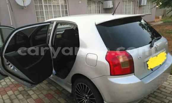 Buy Used Toyota Runx Silver Car in Windhoek in Namibia Buy Used Toyota Runx Silver Car in Windhoek in Namibia