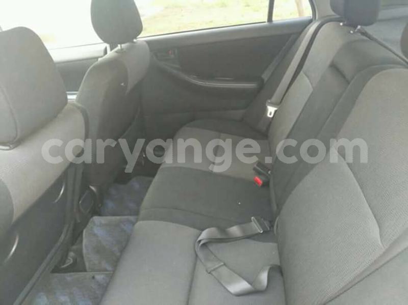 Big with watermark 25075045 1436706473124388 2663118157098388861 o