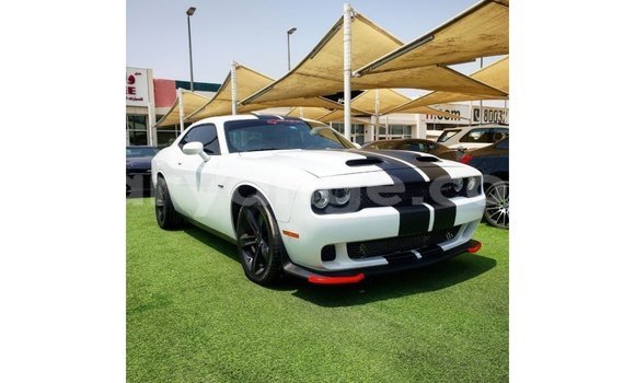 Buy Import Dodge Challenger White Car in Import - Dubai in Namibia