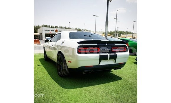 Buy Import Dodge Challenger White Car in Import - Dubai in Namibia Buy Import Dodge Challenger White Car in Import - Dubai in Namibia