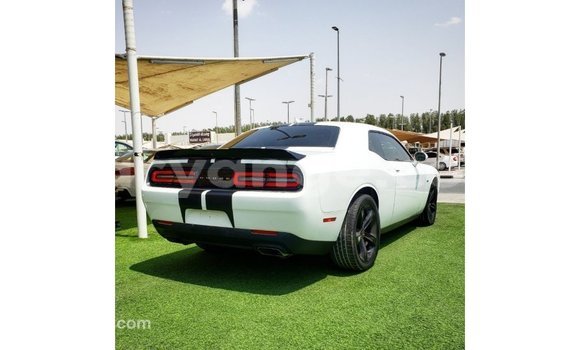 Buy Import Dodge Challenger White Car in Import - Dubai in Namibia Buy Import Dodge Challenger White Car in Import - Dubai in Namibia