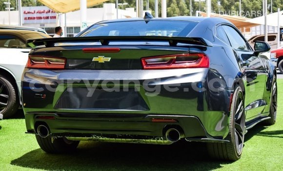 Buy Import Chevrolet Camaro Other Car in Import - Dubai in Namibia Buy Import Chevrolet Camaro Other Car in Import - Dubai in Namibia