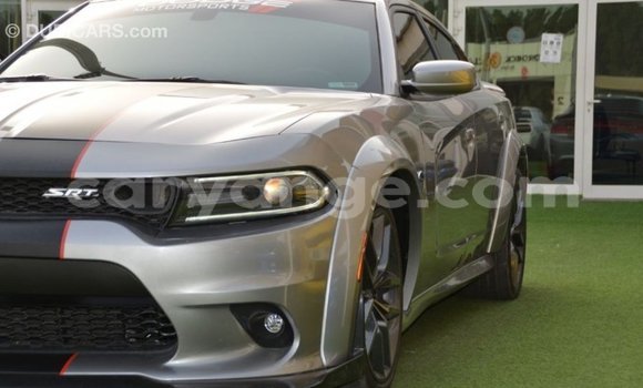 Buy Import Dodge Charger Other Car in Import - Dubai in Namibia Buy Import Dodge Charger Other Car in Import - Dubai in Namibia