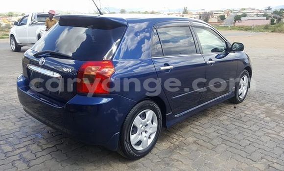 Buy Used Toyota Runx Blue Car in Windhoek in Namibia Buy Used Toyota Runx Blue Car in Windhoek in Namibia