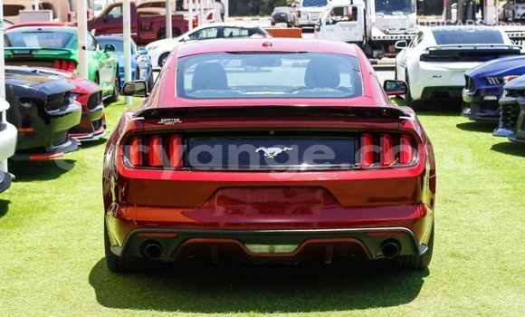 Buy Import Ford Mustang Red Car in Import - Dubai in Namibia Buy Import Ford Mustang Red Car in Import - Dubai in Namibia