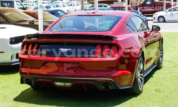 Buy Import Ford Mustang Red Car in Import - Dubai in Namibia Buy Import Ford Mustang Red Car in Import - Dubai in Namibia
