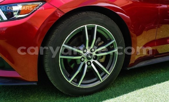 Buy Import Ford Mustang Red Car in Import - Dubai in Namibia Buy Import Ford Mustang Red Car in Import - Dubai in Namibia