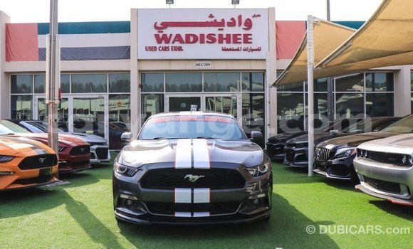 Buy Import Ford Mustang Other Car in Import - Dubai in Namibia Buy Import Ford Mustang Other Car in Import - Dubai in Namibia