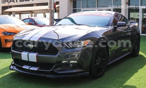 Buy Import Ford Mustang Other Car in Import - Dubai in Namibia Buy Import Ford Mustang Other Car in Import - Dubai in Namibia