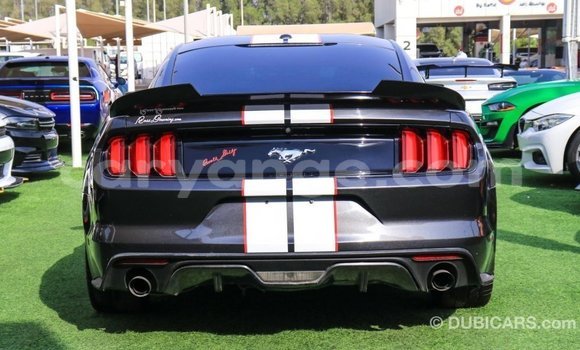 Buy Import Ford Mustang Other Car in Import - Dubai in Namibia Buy Import Ford Mustang Other Car in Import - Dubai in Namibia