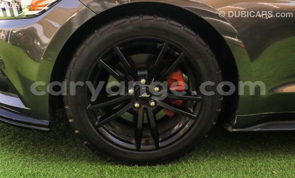 Buy Import Ford Mustang Other Car in Import - Dubai in Namibia Buy Import Ford Mustang Other Car in Import - Dubai in Namibia