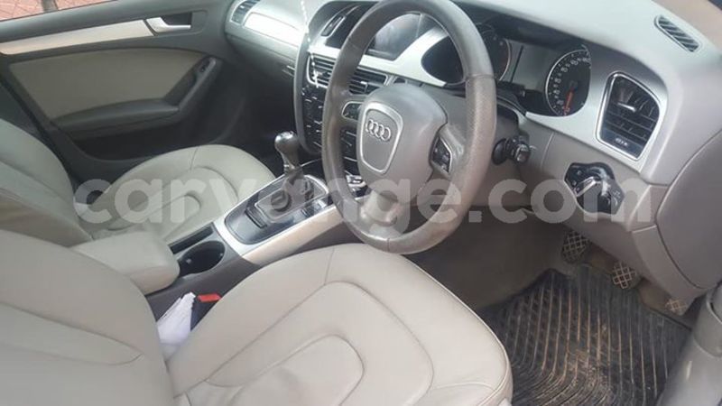 Big with watermark 25075045 1436706473124388 2663118157098388861 o