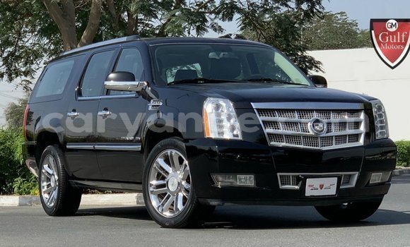 Buy Import Cadillac Escalade Black Car in Import - Dubai in Namibia