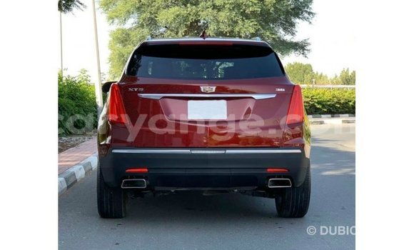 Acheter Import Voiture Cadillac XT5 Rouge à Import - Dubai, Namibie Acheter Import Voiture Cadillac XT5 Rouge à Import - Dubai, Namibie