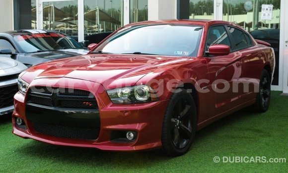Buy Import Dodge Charger Red Car in Import - Dubai in Namibia Buy Import Dodge Charger Red Car in Import - Dubai in Namibia