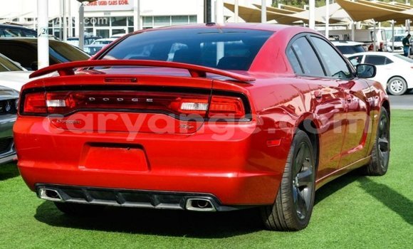 Buy Import Dodge Charger Red Car in Import - Dubai in Namibia Buy Import Dodge Charger Red Car in Import - Dubai in Namibia