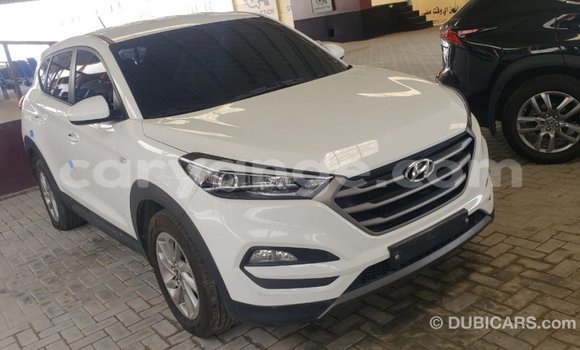 Acheter Import Voiture Hyundai Tucson Blanc à Import - Dubai, Namibie Acheter Import Voiture Hyundai Tucson Blanc à Import - Dubai, Namibie