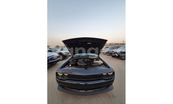 Buy Import Dodge Challenger Black Car in Import - Dubai in Namibia Buy Import Dodge Challenger Black Car in Import - Dubai in Namibia