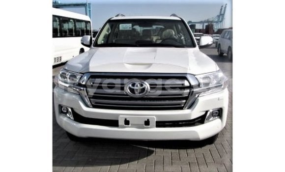 Acheter Import Voiture Toyota Land Cruiser Blanc à Import - Dubai, Namibie