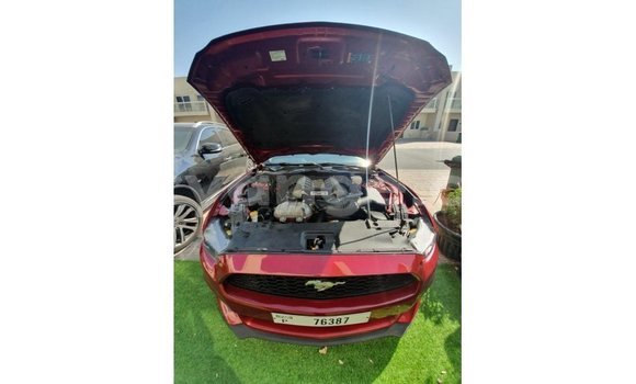 Acheter Import Voiture Ford Mustang Rouge à Import - Dubai, Namibie Acheter Import Voiture Ford Mustang Rouge à Import - Dubai, Namibie