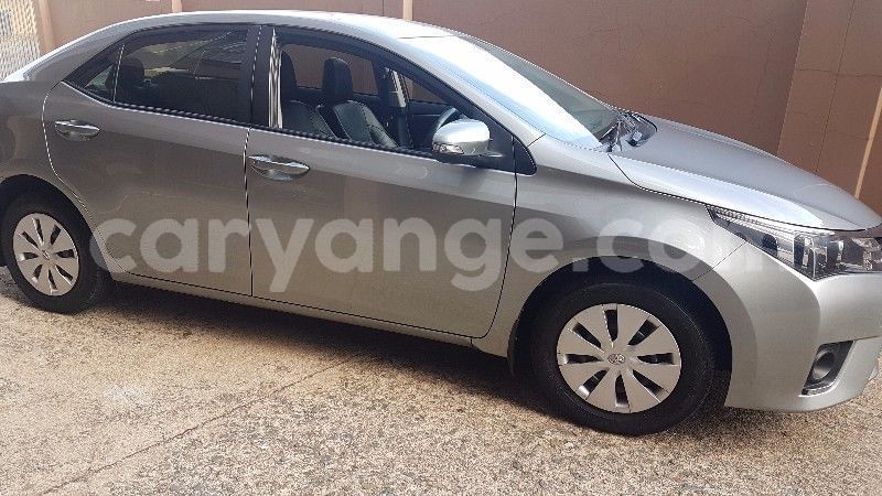 Big with watermark gjkkllll1