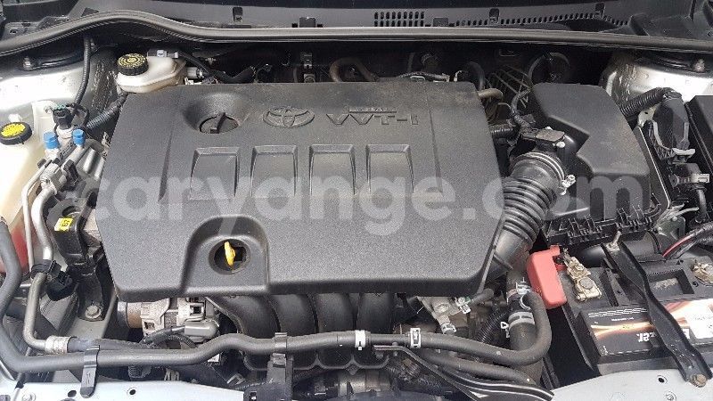 Big with watermark gjkkllll6