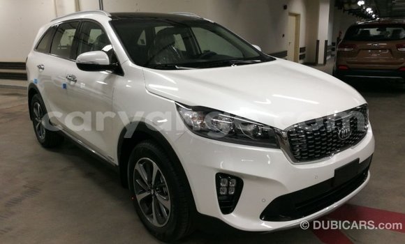 Buy Import Kia Sorento White Car in Import - Dubai in Namibia Buy Import Kia Sorento White Car in Import - Dubai in Namibia