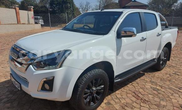 Buy Used Isuzu KB White Car in Windhoek in Namibia Buy Used Isuzu KB White Car in Windhoek in Namibia