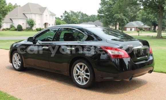 Buy Used Nissan Maxima Black Car in Okahandja in Namibia Buy Used Nissan Maxima Black Car in Okahandja in Namibia