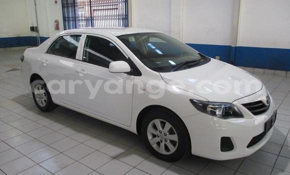 Buy Used Toyota Corolla White Car in Gobabis in Omaheke